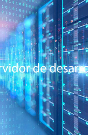 Servidor de desarrollo